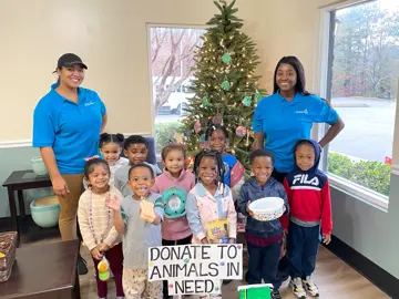 Umbraco.Cms.Core.Models.Blocks.BlockGridModel